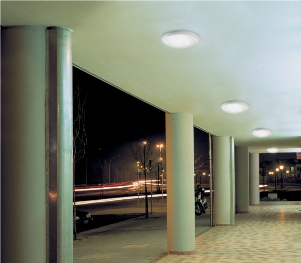 IDUS - Imagen 2