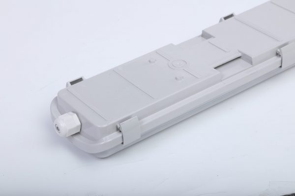 NEOX - Imagen 2