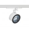 RODA - Imagen 2