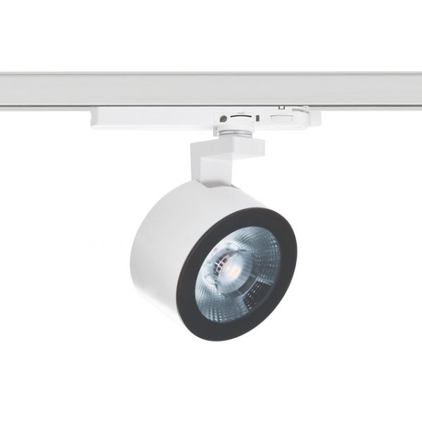 RODA - Imagen 2